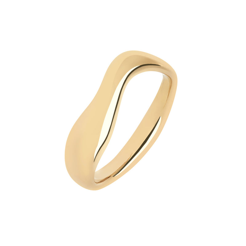 VAYU RING