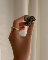 EMI CLIP