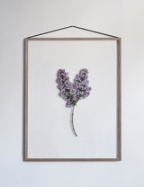 FRAME OAK A2 - VAU