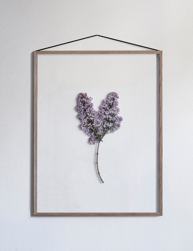 FRAME OAK A2 - VAU